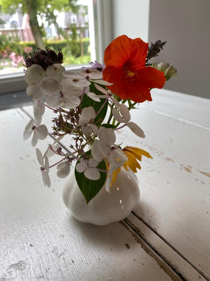 B&B Boerderij De Vaete - Duurzaam Genieten In De Zak Van Zuid-Beveland Heinkenszand Eksteriør billede